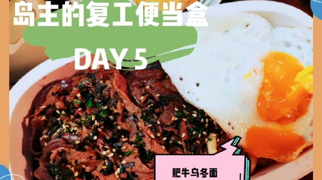 岛主vlog
